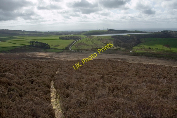 Photo 6"x4" Path through the heather Oakenclough\/SD5447 c2011