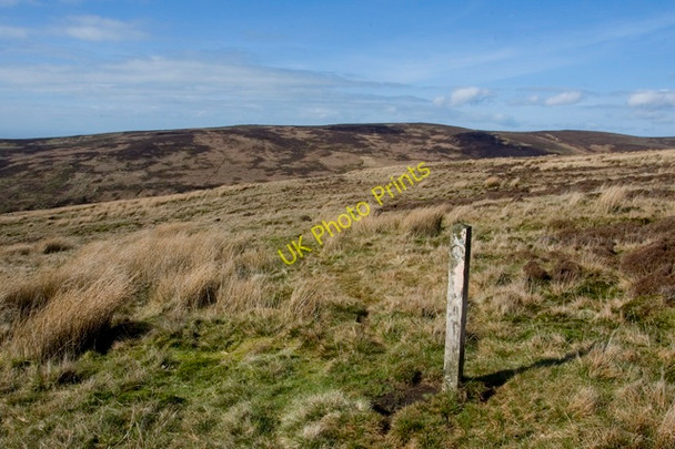 Photo 6"x4" Waymarker on Stake House Fell Oakenclough\/SD5447 c2011
