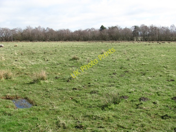 Photo 6"x4" Pasture, West Mains Addiewell c2011