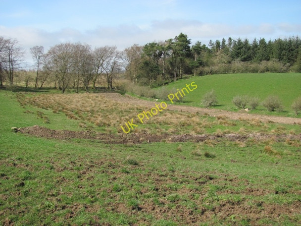 Photo 6"x4" Wetland, Mossend Addiewell c2011