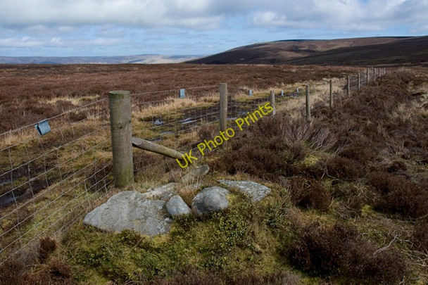 Photo 6"x4" Point 368m on Grizedale Head Oakenclough\/SD5447 c2011