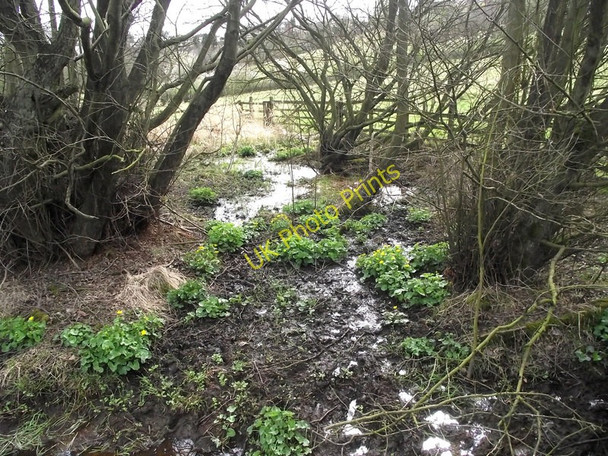 Photo 6"x4" A pond perhaps? Leek\/SJ9856 c2011