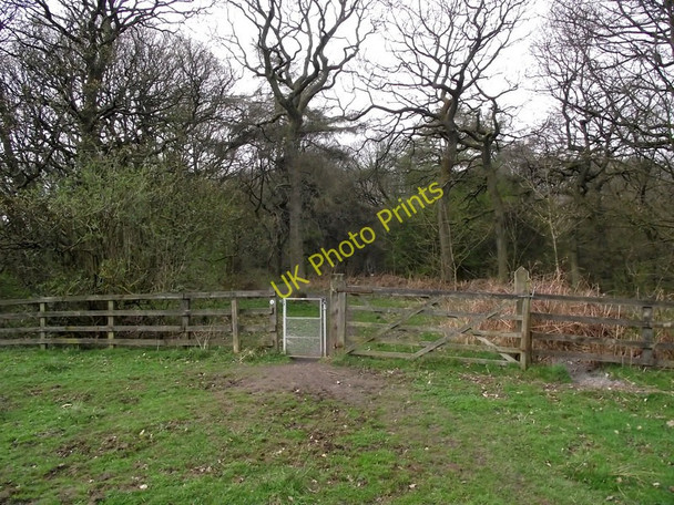 Photo 6"x4" Gate into the wood Leek\/SJ9856 c2011