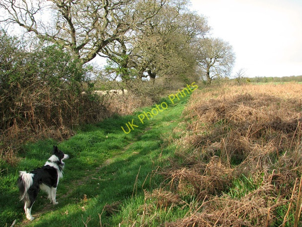 Photo 6"x4" Footpath from Lawn Farm to Salthouse Heath Salthouse\/TG0743 c2011