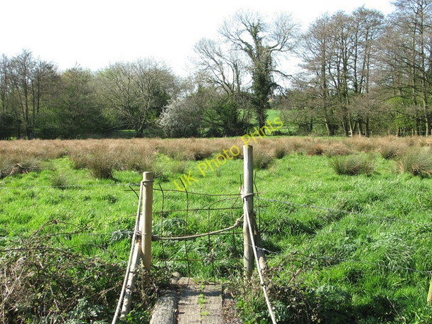 Photo 6"x4" Pastures west of the River Tas, Tharston Hapton\/TM1796 c2011