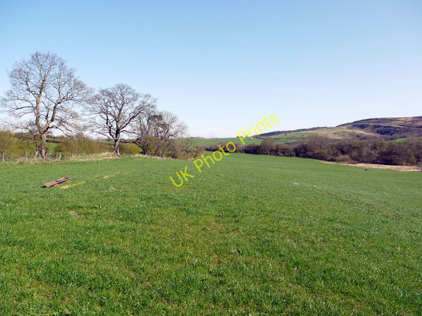 Photo 6"x4" Pasture west of Edlingham Castle Edlingham c2011