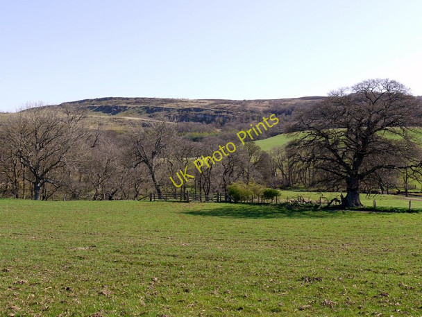 Photo 6"x4" Field west of the Edlingham Burn Edlingham c2011