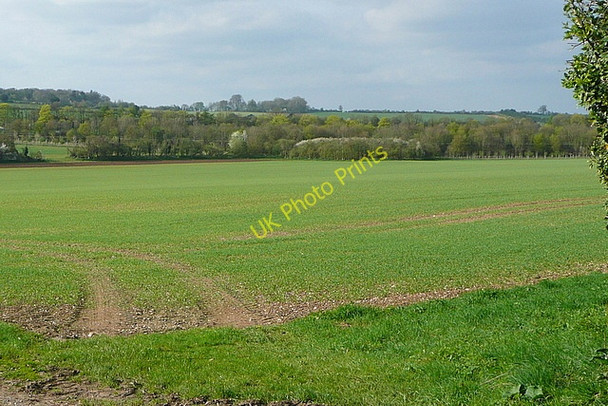 Photo 6"x4" Farmland at Upper Bullington Upper Bullington c2011