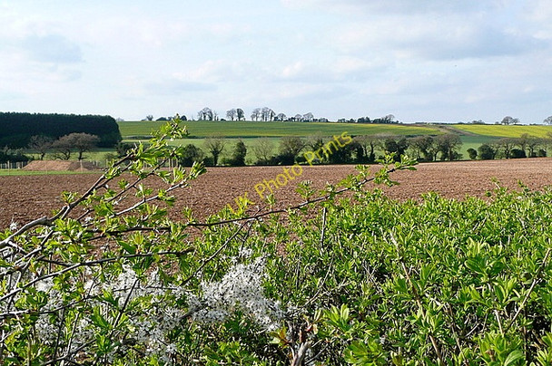 Photo 6"x4" Farmland at Upper Norton Farm Upper Bullington c2011
