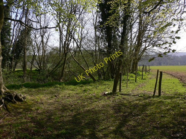 Photo 6"x4" Disused pit on southern edge of Charlton Forest Cocking c2011