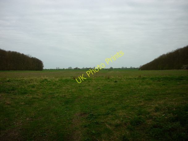 Photo 6"x4" Kingerby Wood off the A1103 Bishopbridge c2011