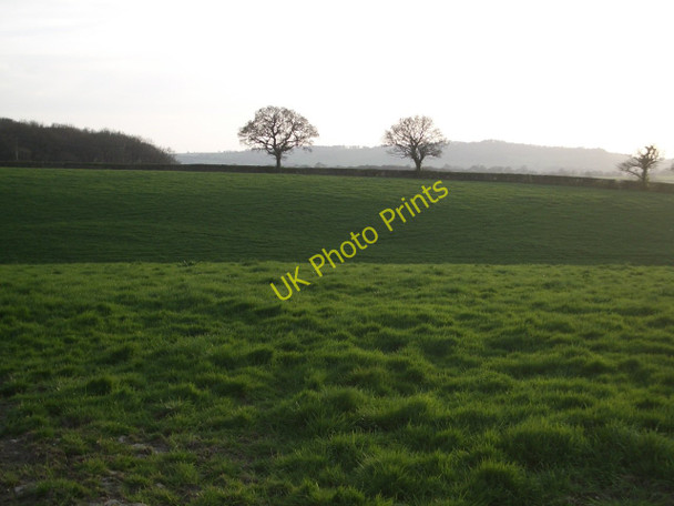 Photo 6"x4" Hilfield: pasture land in evening light Three Gates\/ST6307 c2011