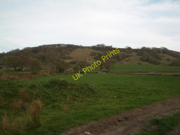 Photo 6"x4" Hilfield: pasture land, looking towards Batcombe Hill Hilfield c2011