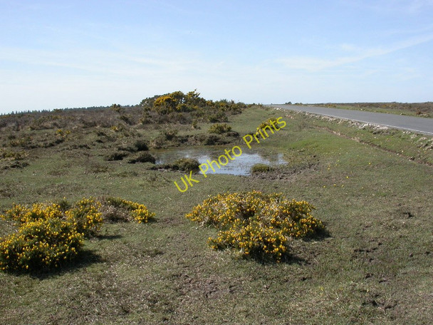 Photo 6"x4" Durnstown, pond Birchy Hill c2011
