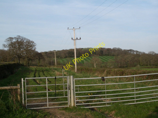 Photo 6"x4" Leigh: gated drove Higher Totnell c2011