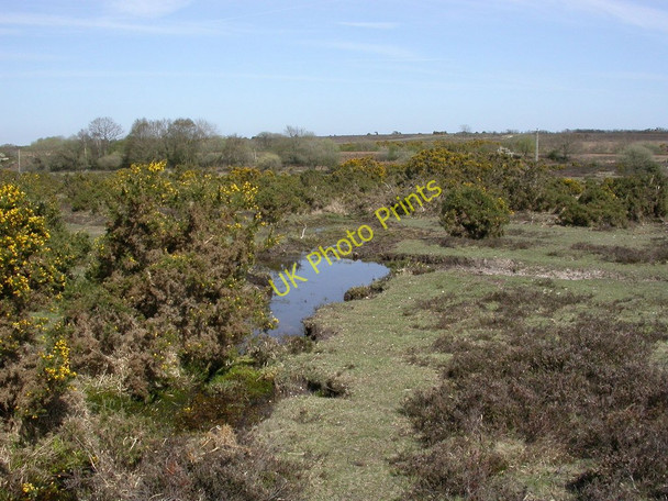 Photo 6"x4" Battramsley, stream Battramsley c2011