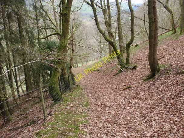 Photo 6"x4" Llwybr Llethrhir  \/ Llethrhir footpath Lletherhir c2011