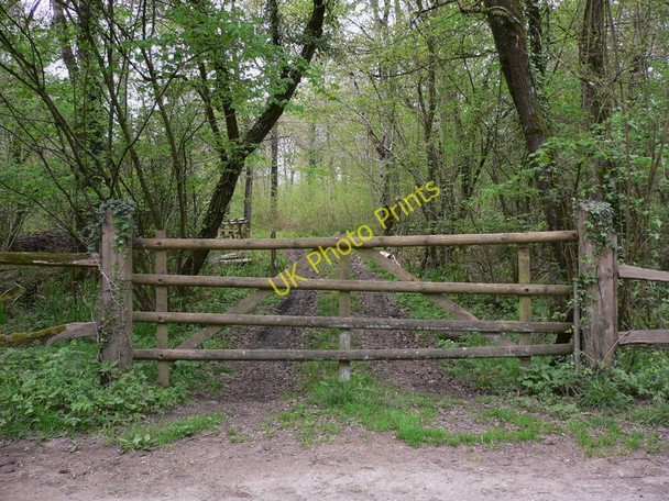 Photo 6"x4" Gated track through Lodge Copse Barlavington c2011