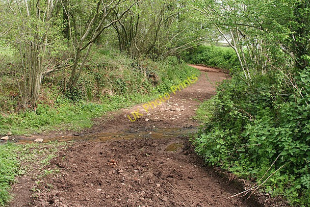 Photo 6"x4" Cullompton: stream crossing Colebrook c2011
