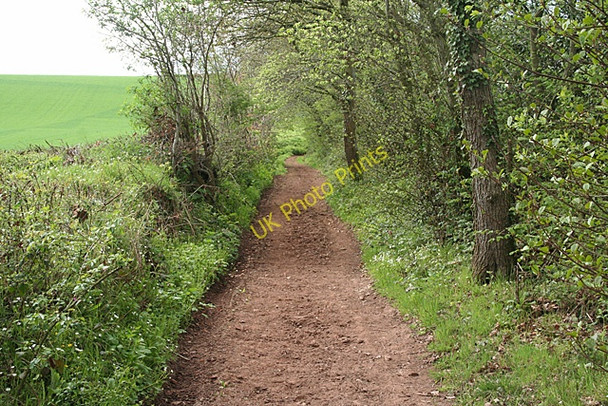 Photo 6"x4" Cullompton: climb towards Colebrook Colebrook c2011