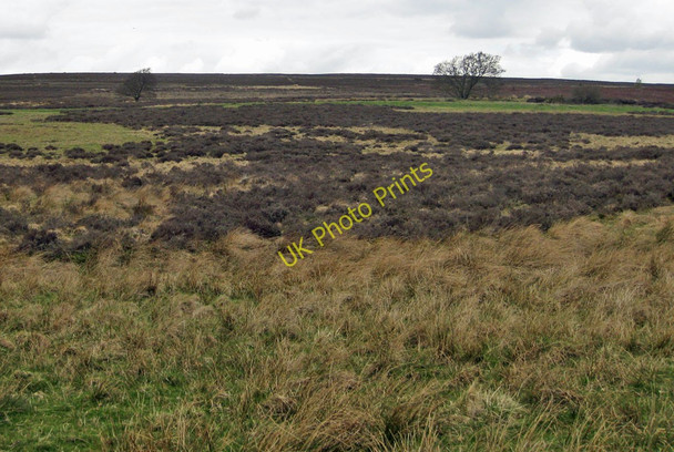 Photo 6"x4" Southern fringe of the North Yorks Moors Lastingham c2011