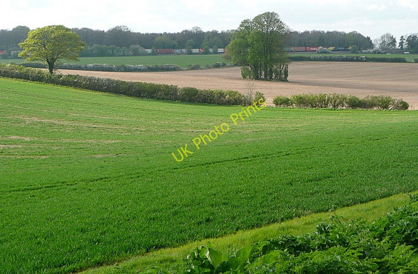 Photo 6"x4" Farmland near Borough Farm Weston Colley c2011