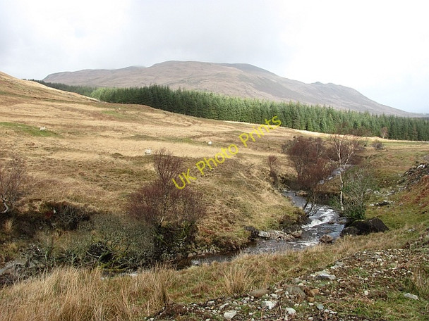 Photo 6"x4" Allt na Laith-dhoire Tomsl\u00e8ibhe c2011