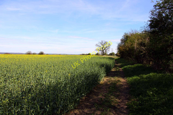Photo 6"x4" Footpath by the field Little Wittenham c2011