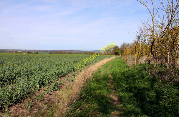 Photo 6"x4" Bridleway on Down Hill Didcot c2011