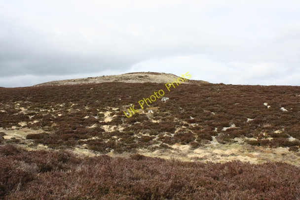 Photo 6"x4" South side of Cairn Duhie Ferness c2011