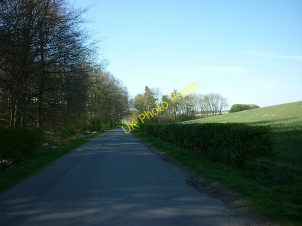 Photo 6"x4" Croome Dale Lane towards Sledmere West Lutton c2011