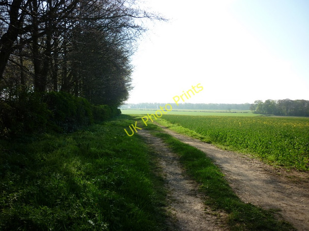 Photo 6"x4" A track alongside Cherry Wood, Sledmere Sledmere c2011