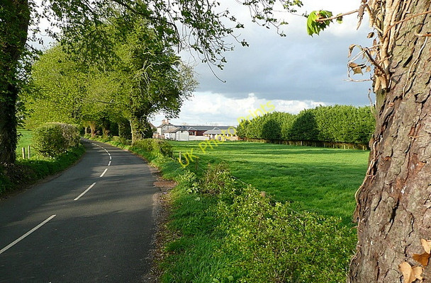 Photo 6"x4" Towards Northbrook Dairy Micheldever c2011
