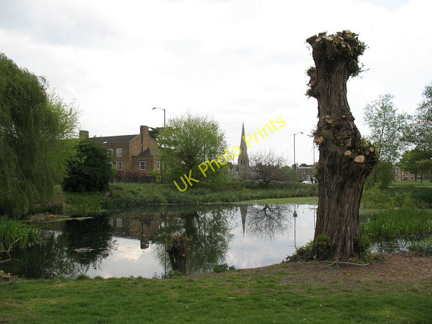 Photo 6"x4" Small pond on Blackheath Greenwich\/TQ3977 c2011
