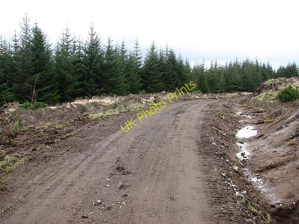 Photo 6"x4" Forest road,  L\u00c3\u00b2n Biolaireach L\u00f2n Biolaireach c2011