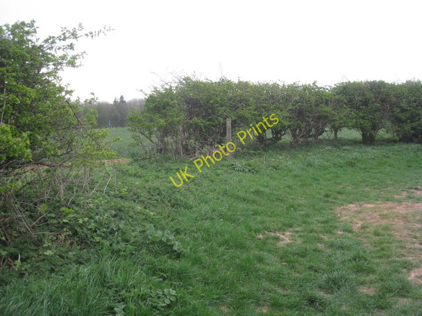 Photo 6"x4" Bend in the bridleway East Ravendale c2011