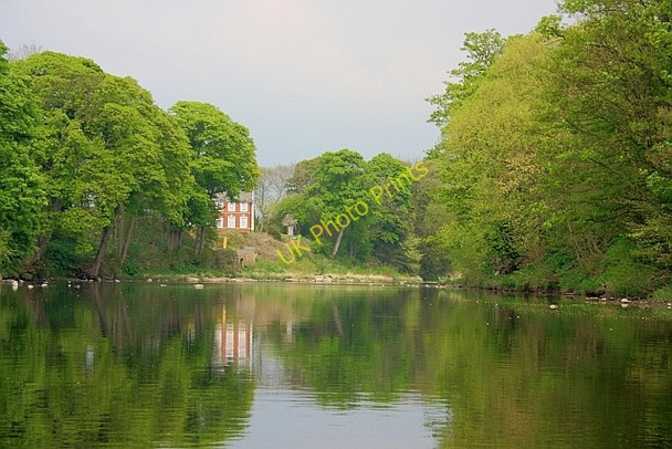 Photo 6"x4" River Tees near Bolton Park Wood Girsby\/NZ3508 c2011