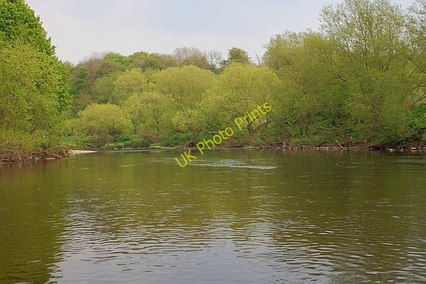 Photo 6"x4" River Tees near Girsby Girsby\/NZ3508 c2011