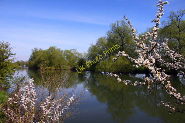 Photo 6"x4" The River Thames by Dorchester Burcot\/SU5695 c2011