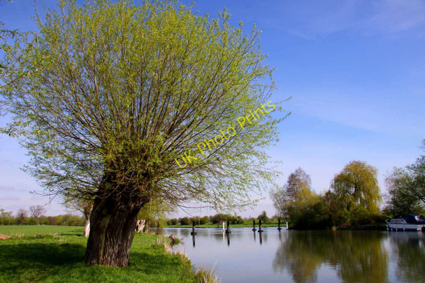 Photo 6"x4" The River Thames by Days Lock Little Wittenham c2011