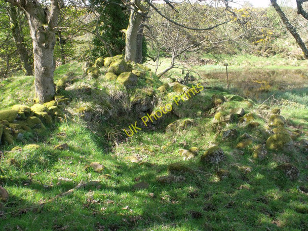 Photo 6"x4" Hall Quarter ruins 6 Craigend\/NS7887 c2011