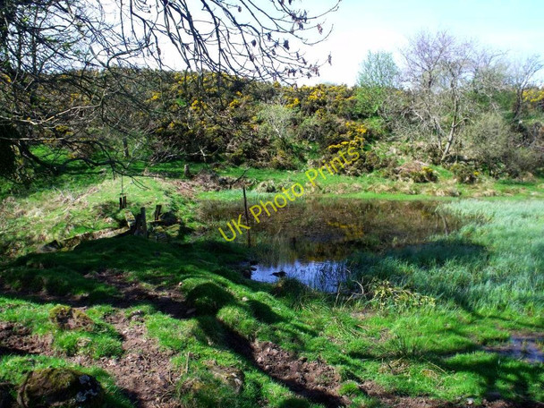 Photo 6"x4" Hall Quarter dam Craigend\/NS7887 c2011