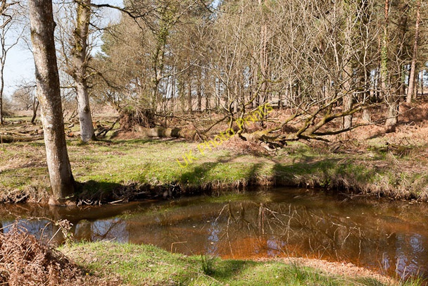 Photo 6"x4" Latchmore Brook restoration Ogdens c2011