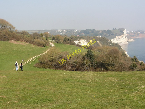 Photo 6"x4" The Footpath between Beer Head and Beer Seaton\/SY2490 c2011