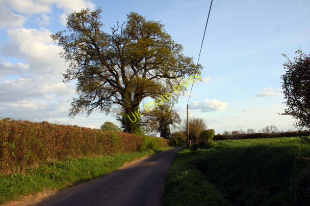 Photo 6"x4" Denton Lane to Chiselhampton The Platt c2011