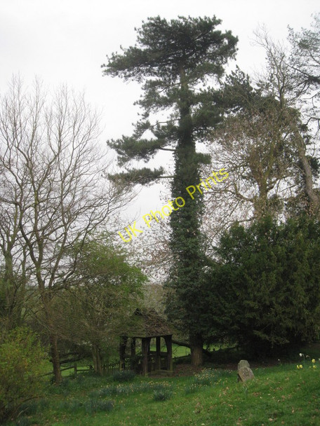 Photo 6"x4" Lychgate and ivy clad tree Wold Newton\/TF2496 c2011