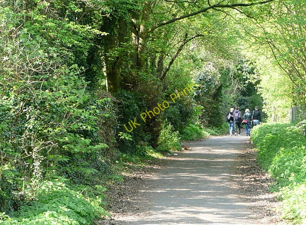 Photo 6"x4" Footpath and cycleway to West Ham Basingstoke c2011