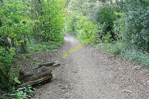 Photo 6"x4" Footpath towards Worting Wootton St Lawrence c2011
