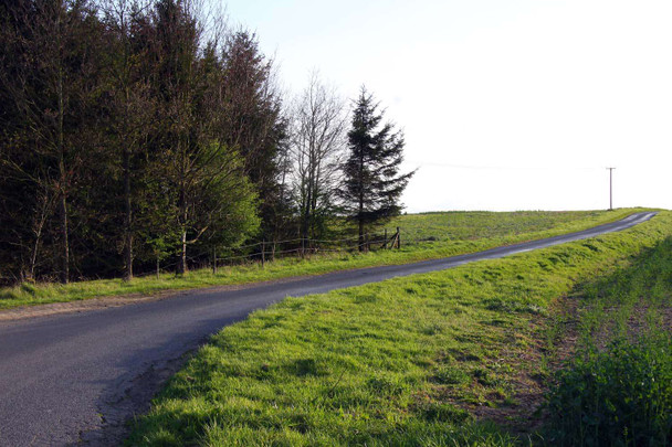 Photo 6"x4" The road to Chiselhampton The Platt c2011