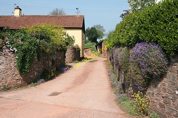 Photo 6"x4" Cullompton: Russel Lane Colebrook c2011